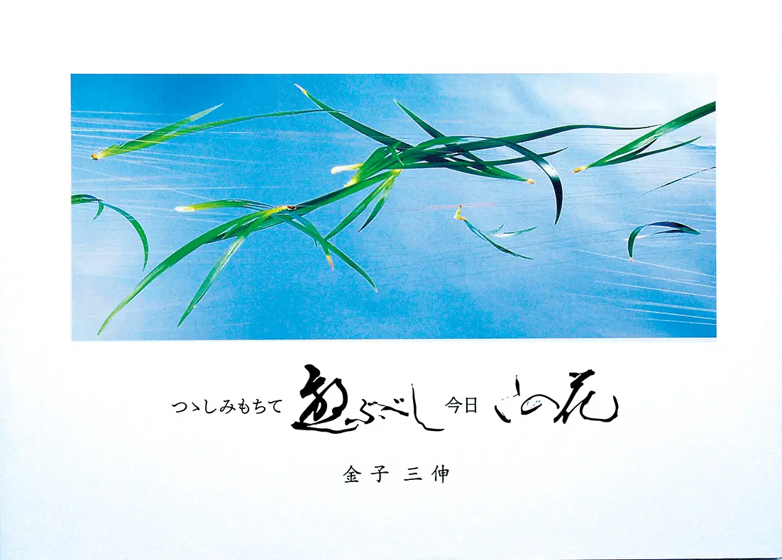 つつしみもちて遊ぶべし今日この花